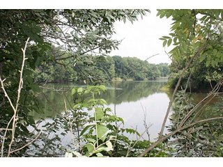 Property photo 22 - 419 +/- Acres offered in 6 Tracts, Land Auction